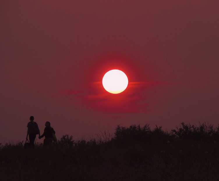 1599492935874405.png image.png