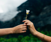 七夕抖音上最好听的情侣名