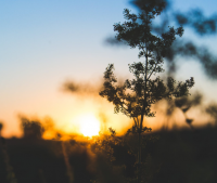 高冷又随性的句子