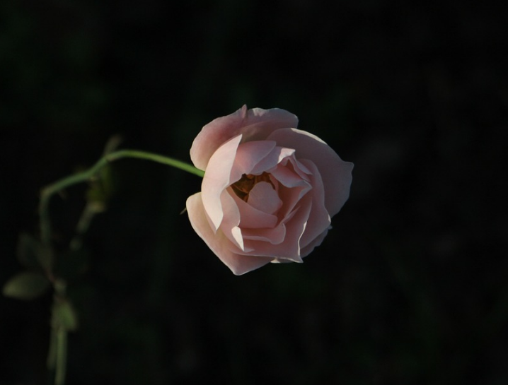 1599749687912531.png image.png