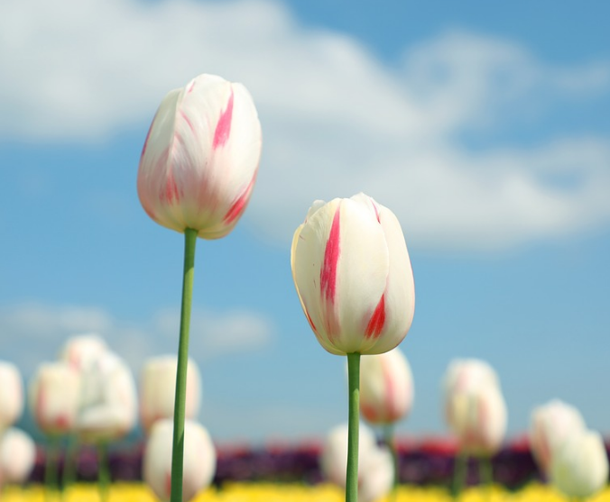 1599749833840238.png image.png