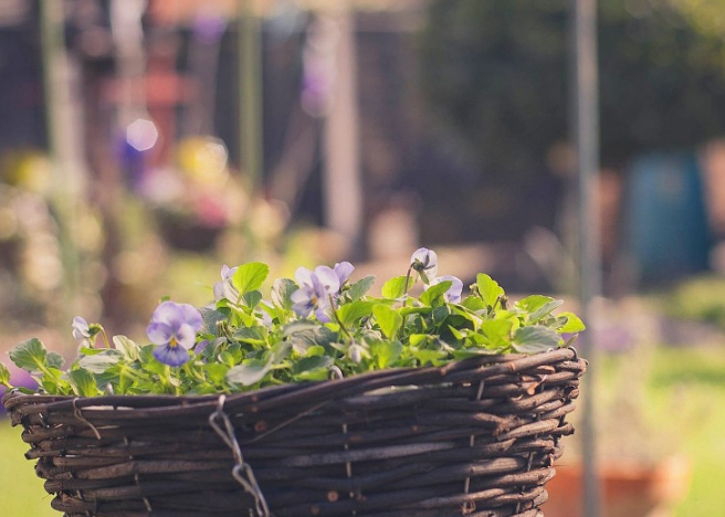 1599749848131784.png image.png