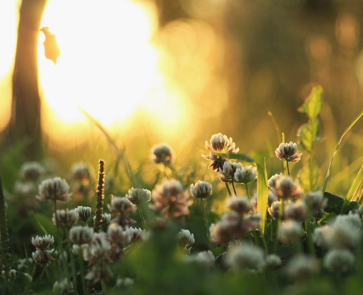 1599926338102178.png image.png