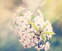 袁姓男孩起名2022年 袁姓男孩有诗意的名字