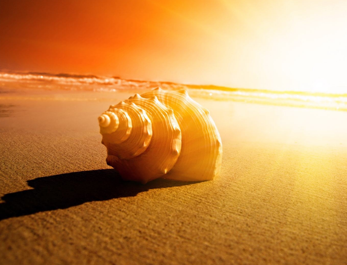 1599926597534024.png image.png