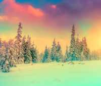 关于爱情英语唯美长句 关于爱情的英语句子