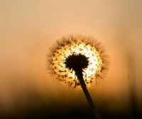 王字旁起名字的字 王字旁男孩名字