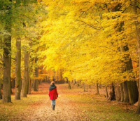 难忘的爱情回忆的句子