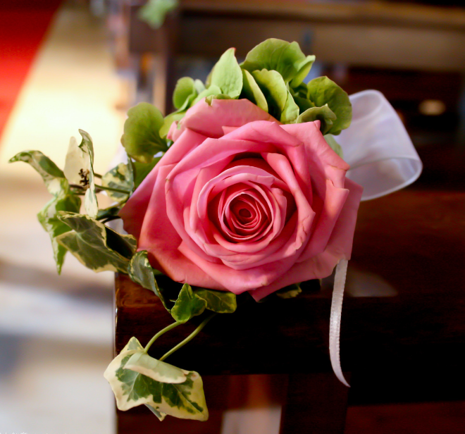 1600265498640226.png image.png