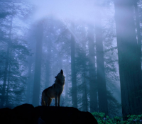 销售员励志名言 销售励志语录正能量