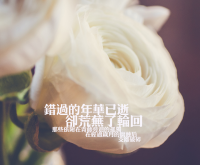 最让人心疼的伤感语录