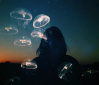 悲伤的句子说说心情 表示伤心的一句话