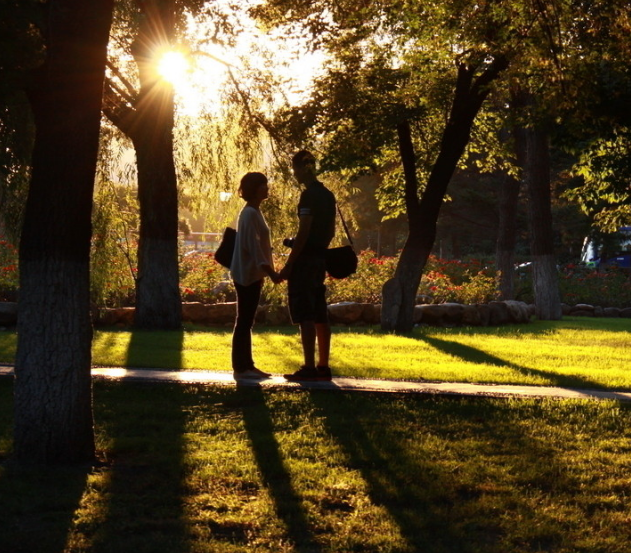 1600367102124620.png image.png