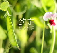 经典的霸气爱情句子 拽的句子 关于爱情