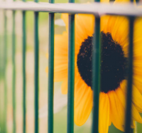 跟女生表白最感动的话 表白的句子给暗恋的人