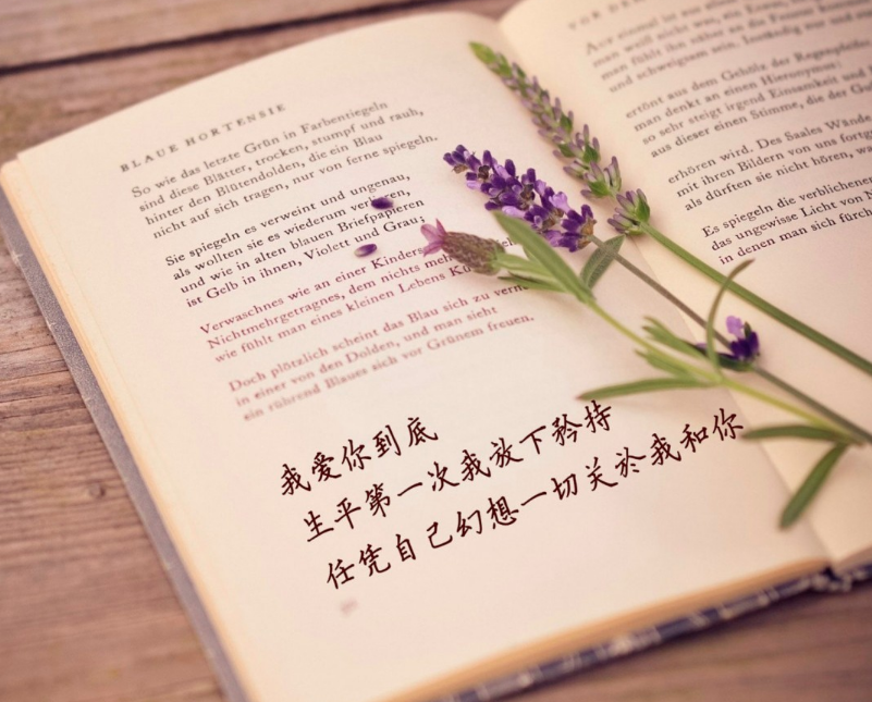 1600591869140077.png image.png