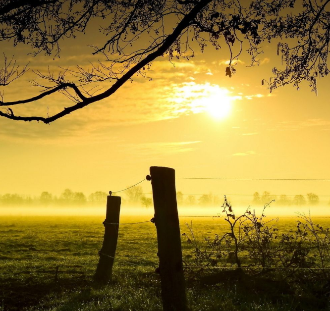 1600591942480406.png image.png