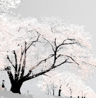 适合发朋友圈的酷句 朋友圈说说的好句子