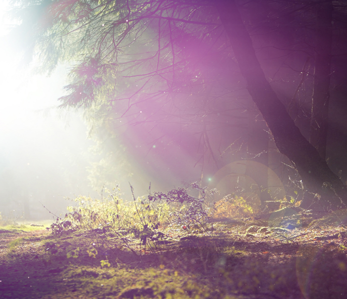 1600608484580240.png image.png