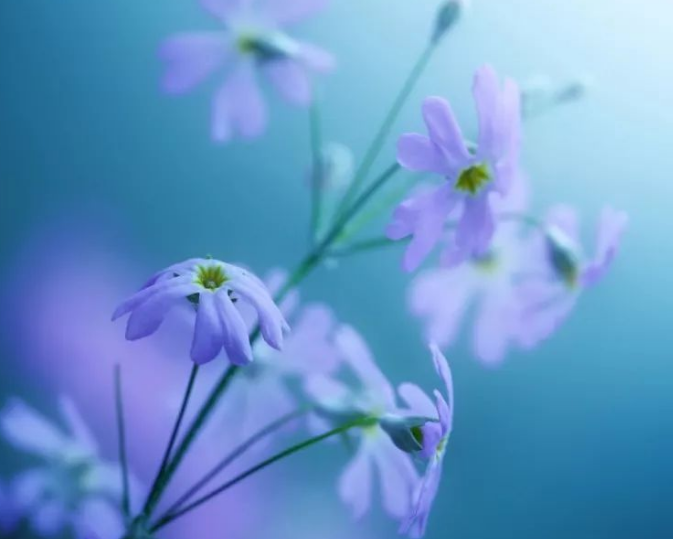 1600610784527913.png image.png