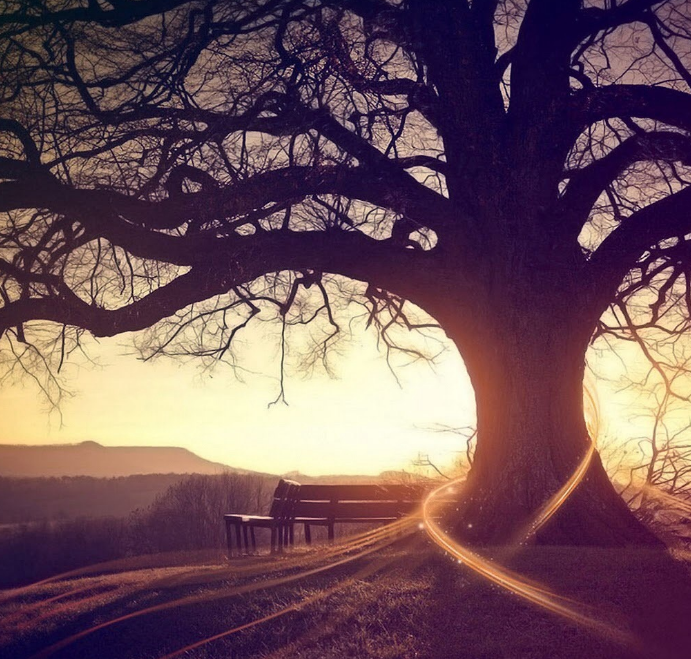 1600611093136742.png image.png