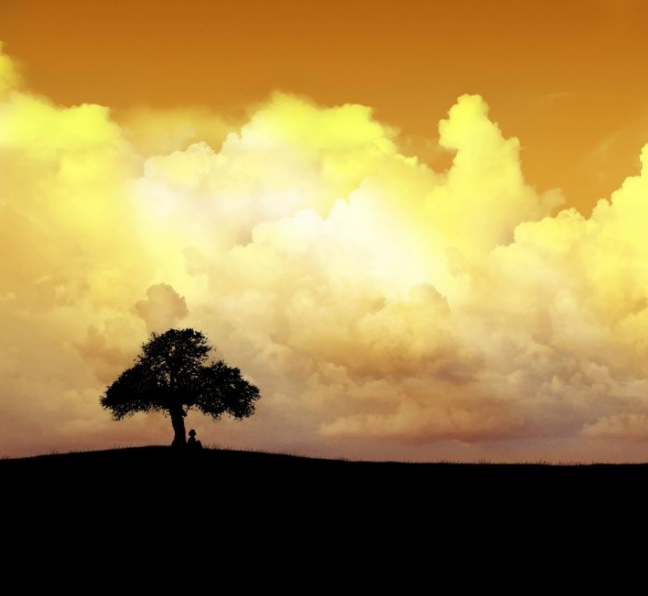 1600611110124762.png image.png