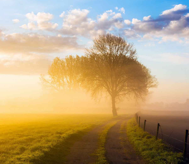 1600611487136823.png image.png