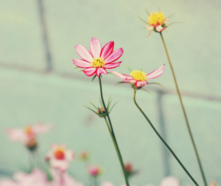 1600620599501320.png image.png