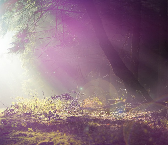 1600620846136410.png image.png