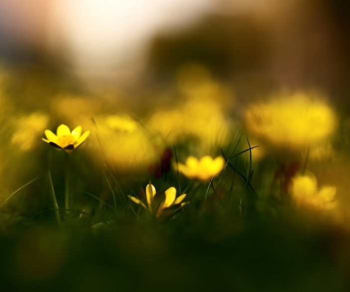 1600622960714284.png image.png