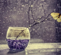 好听简洁的英文名网名