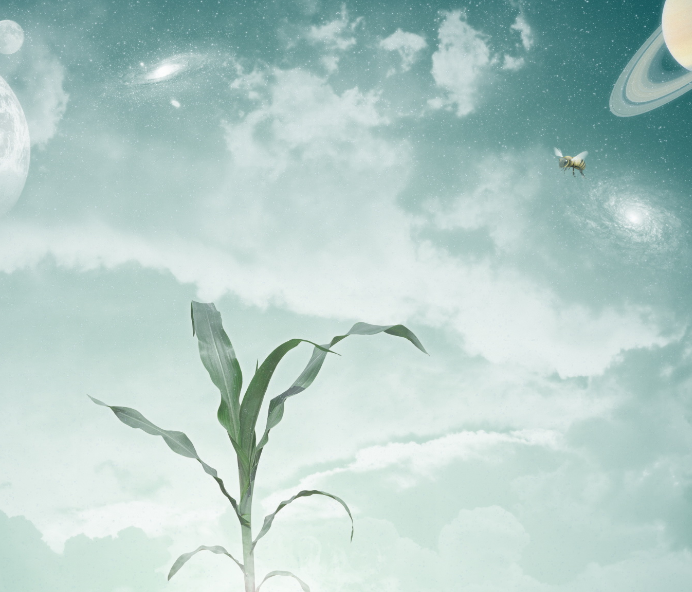 1600623540183530.png image.png