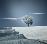 微信优雅好听有内涵的英文网名女生