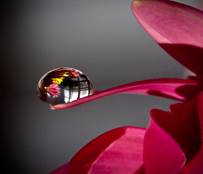 1600625153180690.png image.png