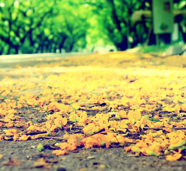 1600625169612901.png image.png