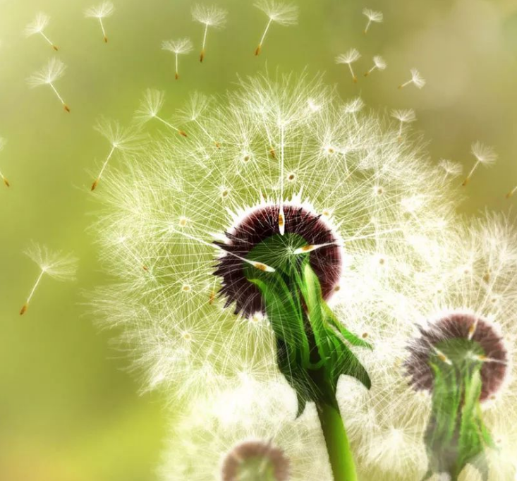 1600625454987536.png image.png