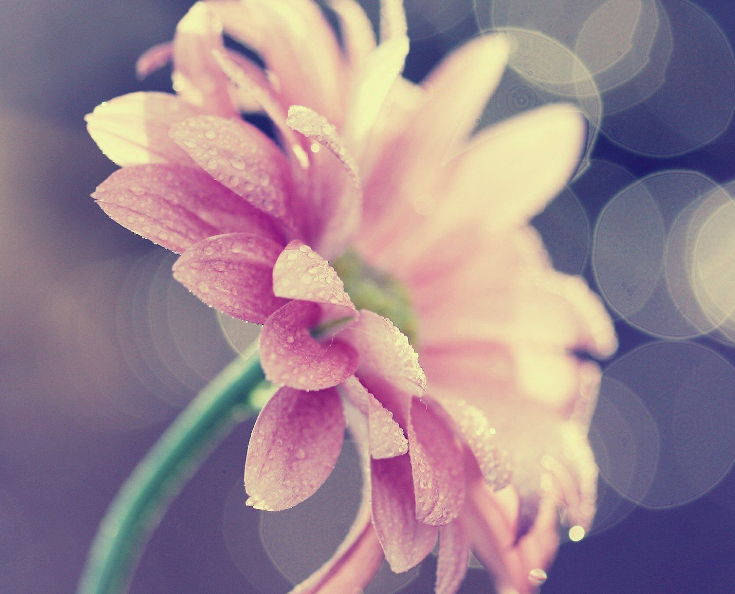 1600625489125454.png image.png