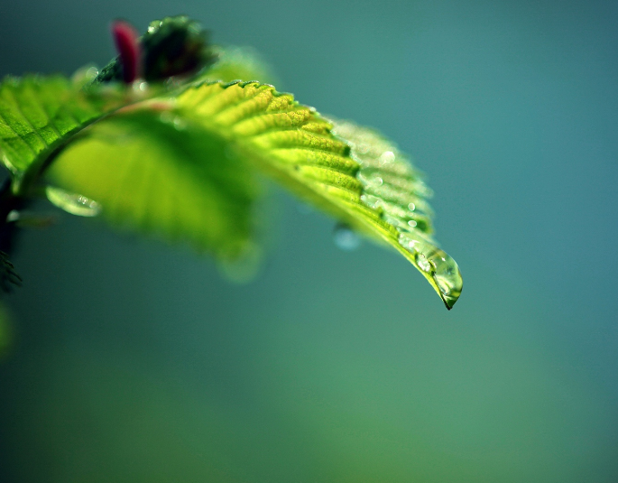 1600625828238439.png image.png