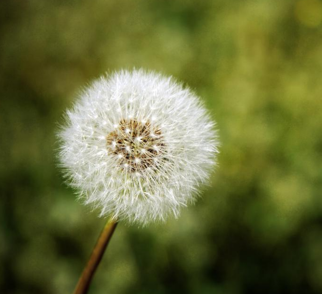 1600625840601885.png image.png