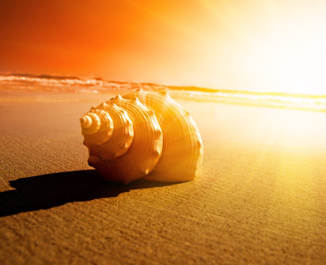 1600625857501449.png image.png