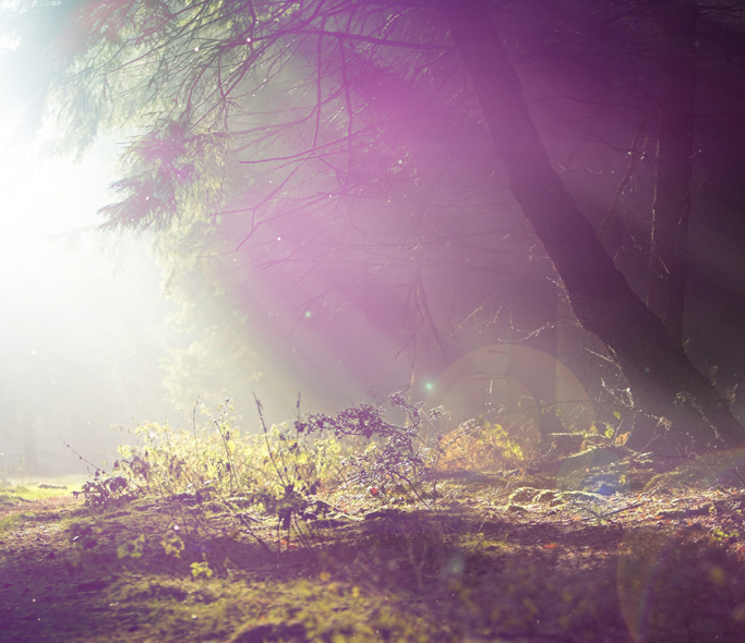 1600625948123772.png image.png