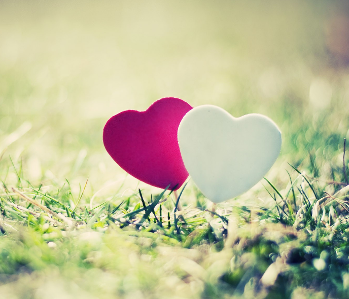 1600626503317144.png image.png