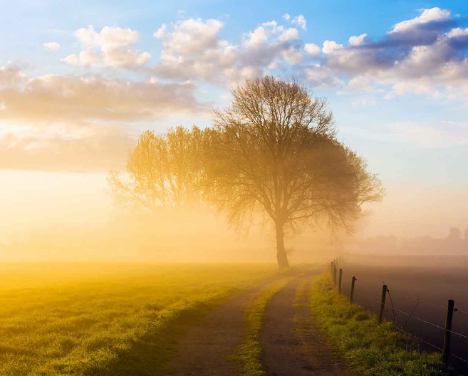 1600626533226906.png image.png