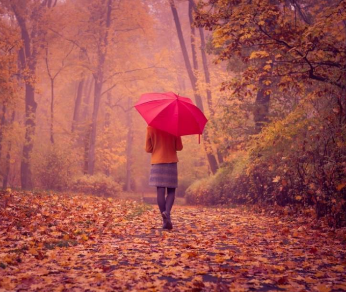 1600627648981511.png image.png