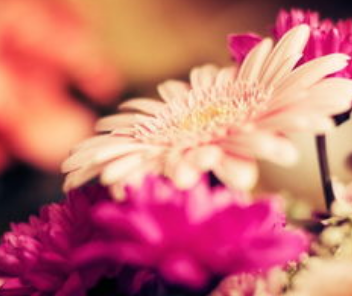 1600627663145447.png image.png