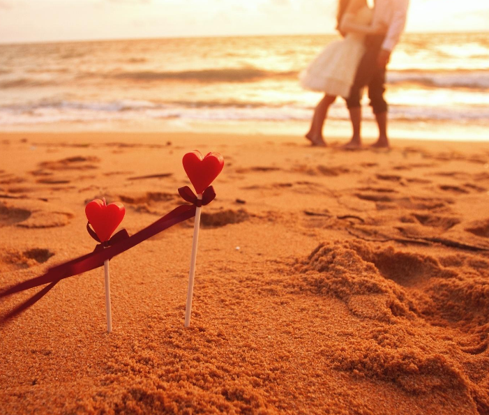 1600628987790536.png image.png