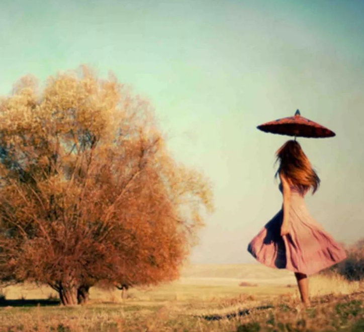 1600629122122193.png image.png