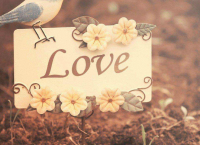 女生超拽冷酷霸气网名 女生网名霸气