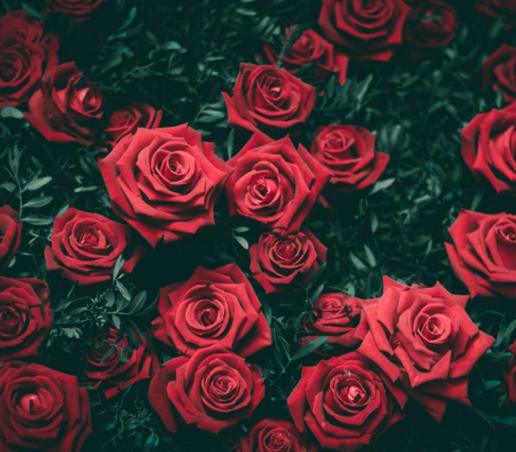 1600788087333496.png image.png