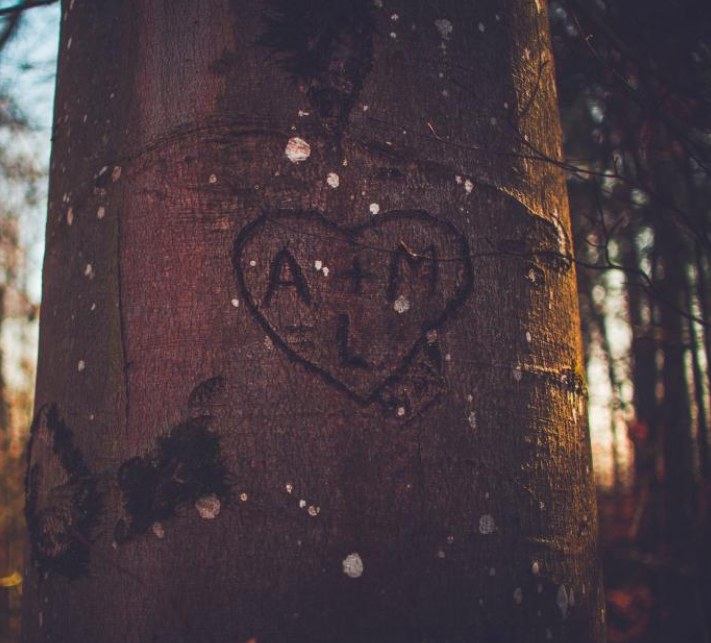 1600788990223033.png image.png